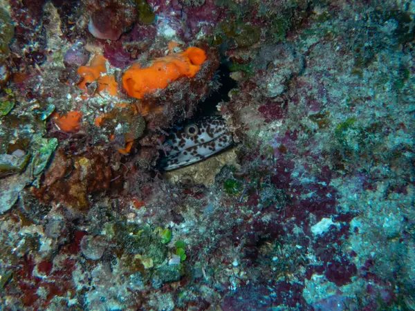 Sosua, Dominican Republic