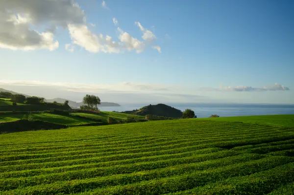 Sao Miguel, Portugal
