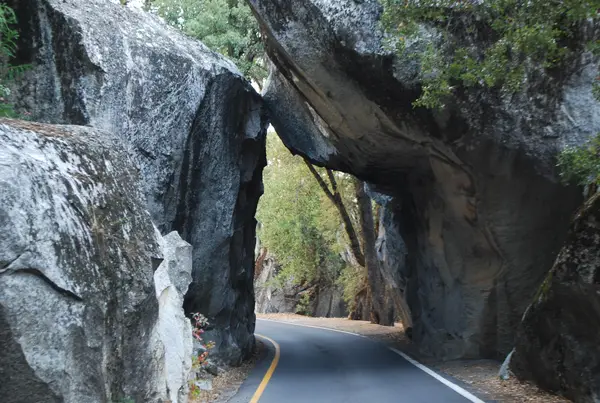 Yosemite, CA, USA