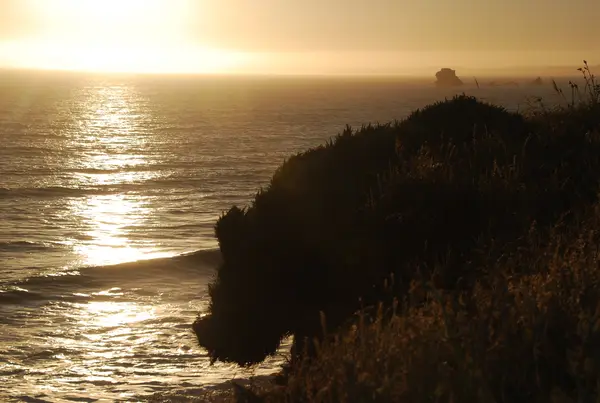 Point Reyes, CA, USA
