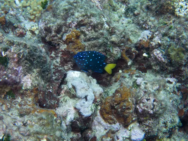 Sosua, Dominican Republic