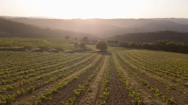 Chianti, Italy