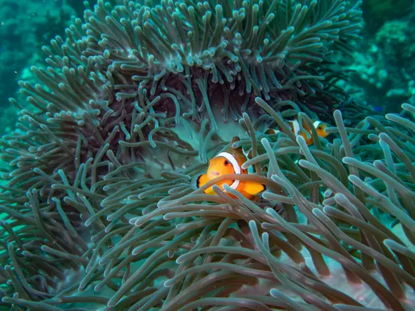 Phi Phi Islands, Thailand