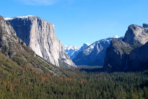 Yosemite, CA, USA