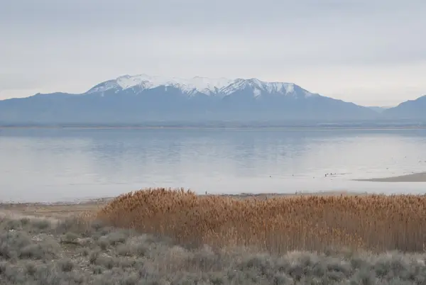 Antelope Island, UT, USA