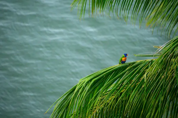 Cairns, Australia