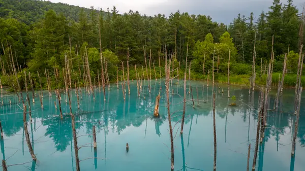 Biei, Japan