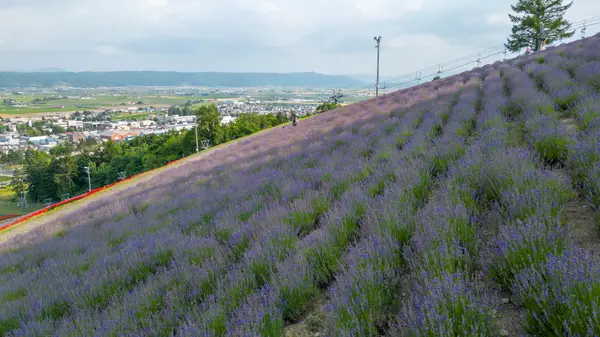 Furnano, Japan