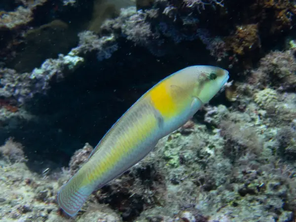 Sosua, Dominican Republic