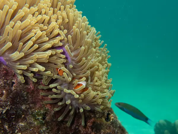 Phi Phi Islands, Thailand