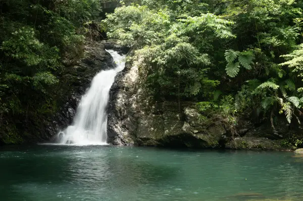 Amami Oshima, Japan