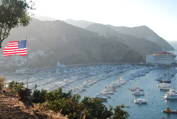 Catalina Island, CA, USA