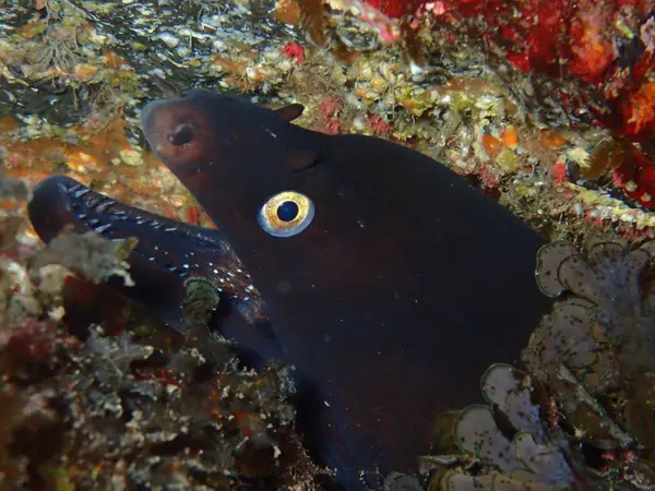 Sao Miguel, Portugal