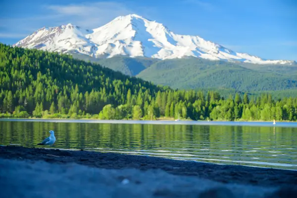Mt Shasta, CA, USA