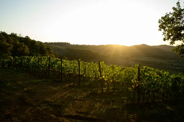 Chianti, Italy