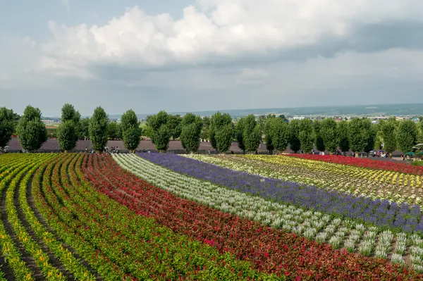 Furnano, Japan