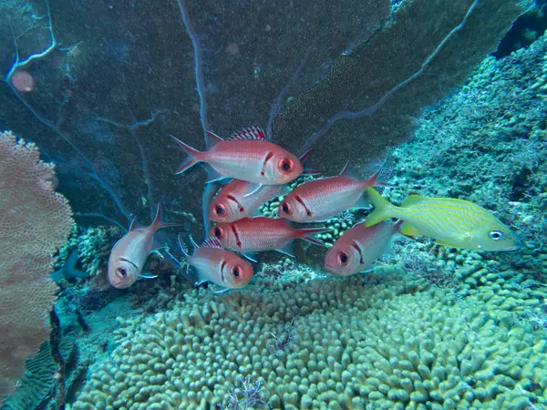 Sosua, Dominican Republic