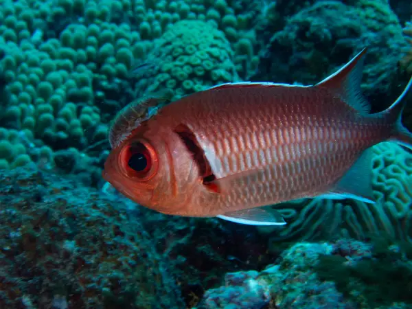 Sosua, Dominican Republic
