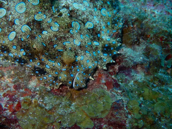 Sosua, Dominican Republic