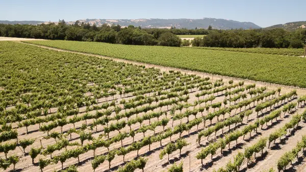 Saratoga, CA, USA