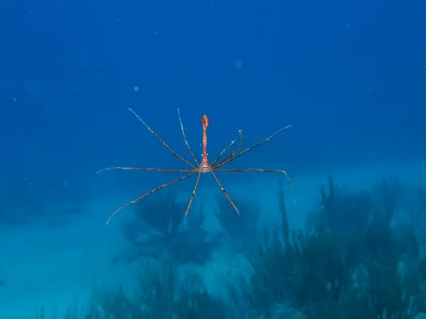 Sosua, Dominican Republic