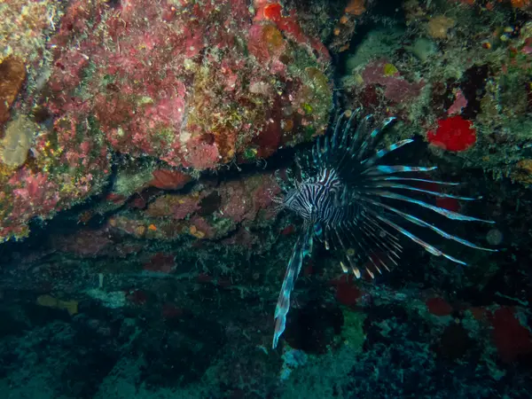 Sosua, Dominican Republic