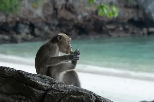 Phi Phi Islands, Thailand