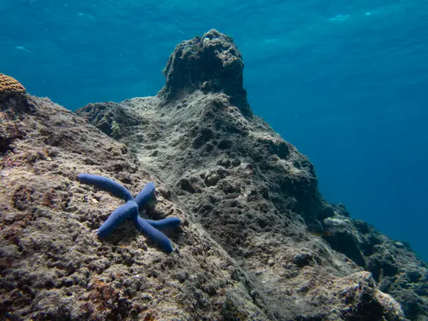 South Sea Island, Fiji