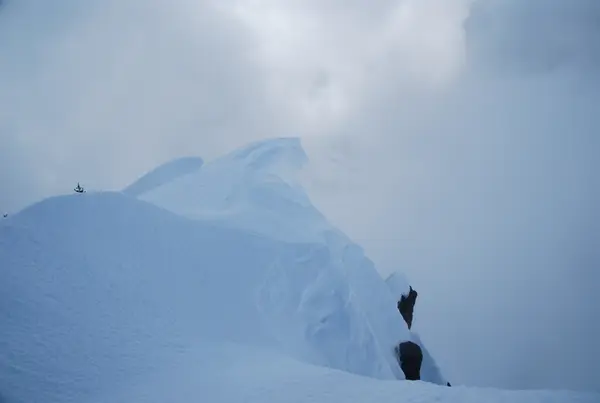 Mt Ellinor, WA, USA