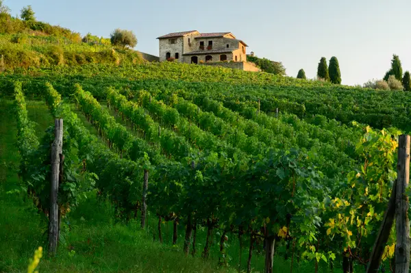 Chianti, Italy