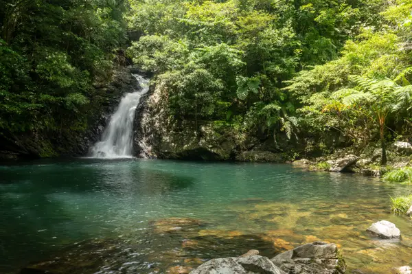 Amami Oshima, Japan