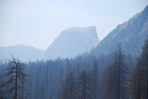 Yosemite, CA, USA