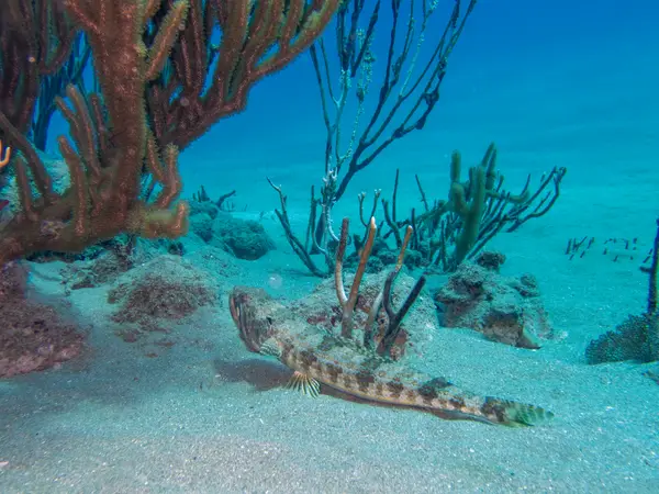 Sosua, Dominican Republic