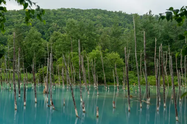 Biei, Japan