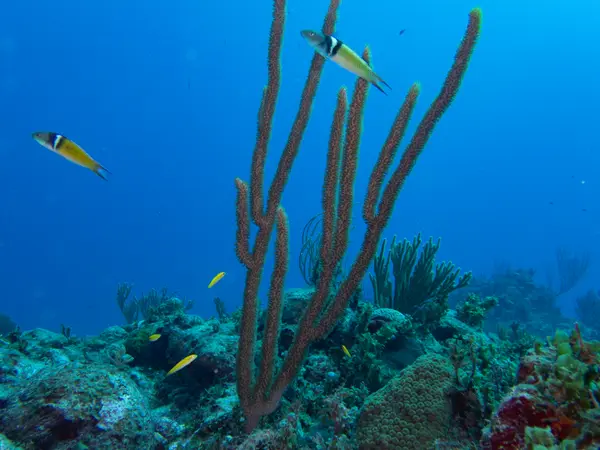 Sosua, Dominican Republic