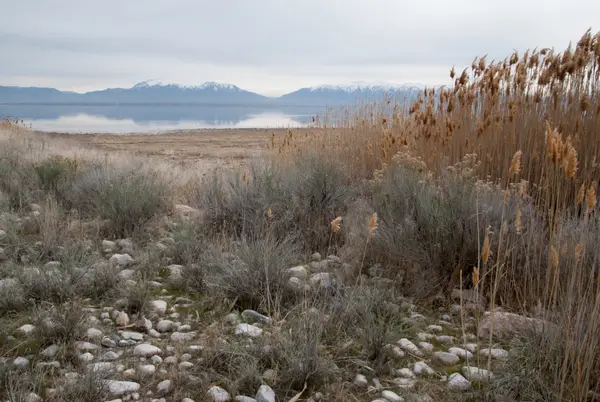 Antelope Island, UT, USA