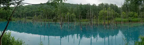 Biei, Japan