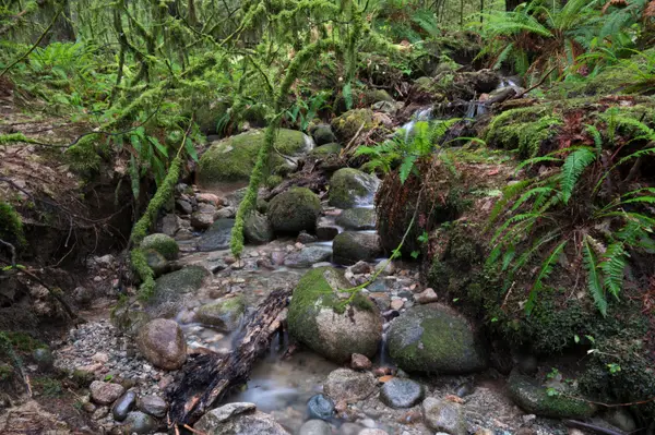 Vancouver, BC, CA