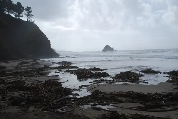Fort Bragg, CA, USA