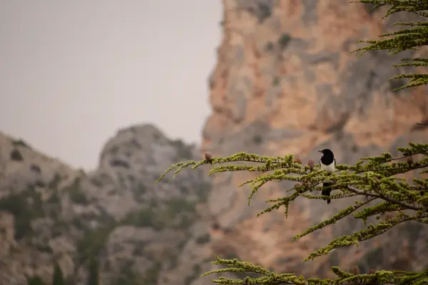 Verdon, France