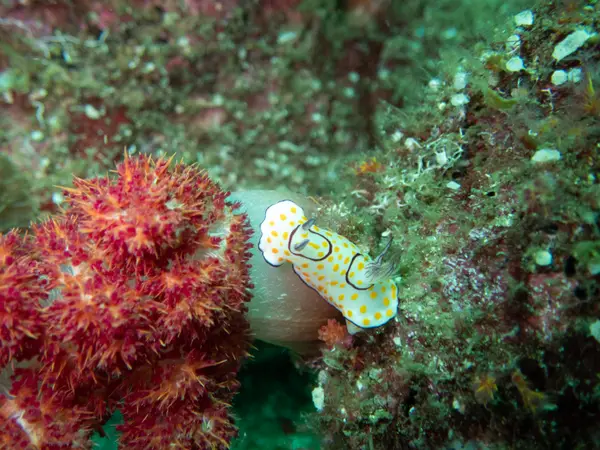 Koh Lanta, Thailand