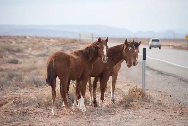 Utah, USA