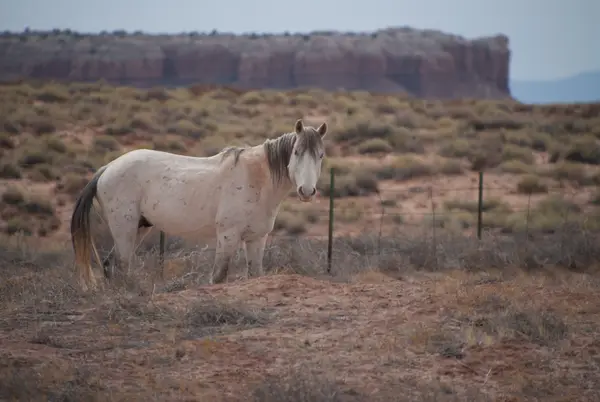 Utah, USA