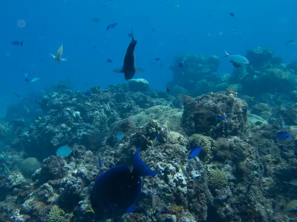 Sosua, Dominican Republic