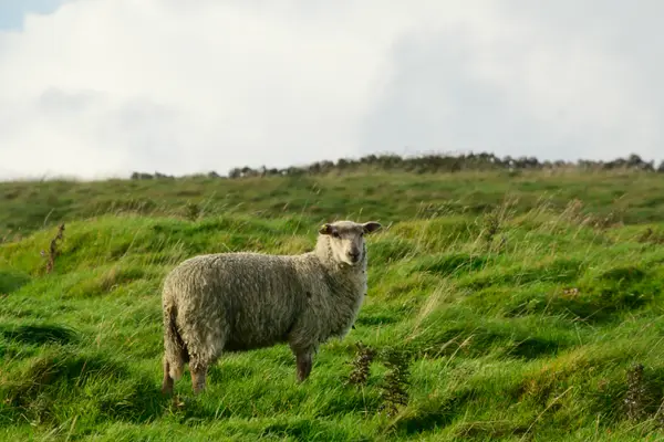 Galway, Ireland