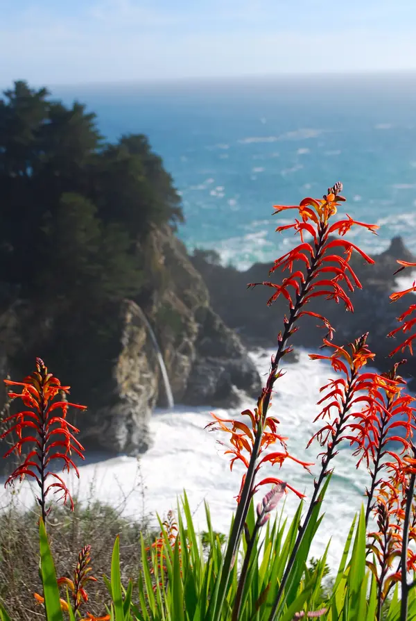 Big Sur, CA, USA