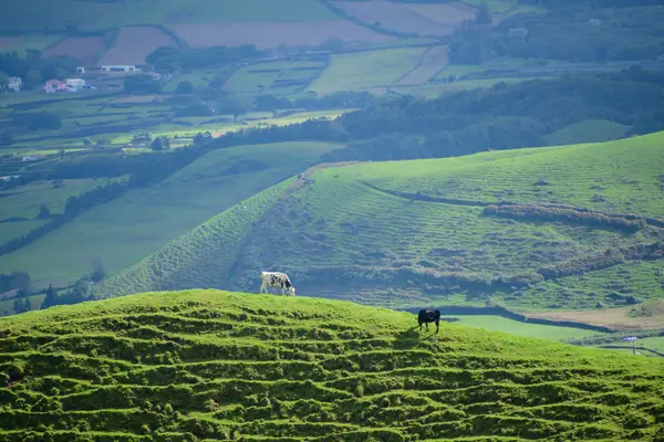 Sao Miguel, Portugal