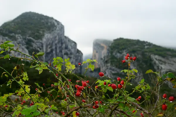 Verdon, France
