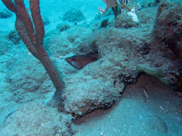 Sosua, Dominican Republic